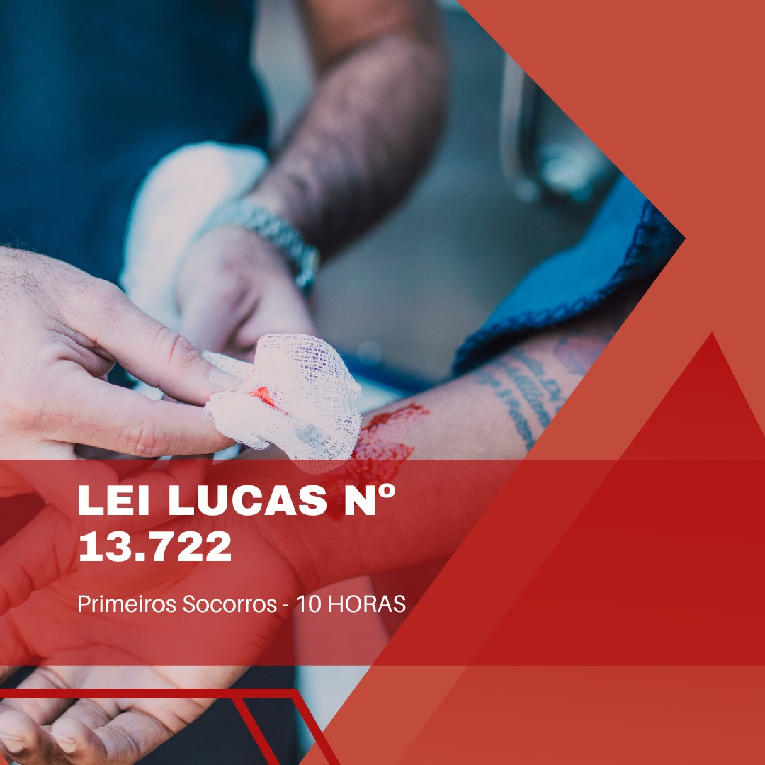 Lei Lucas Nº 13.722